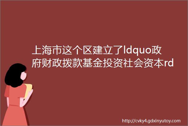 上海市这个区建立了ldquo政府财政拨款基金投资社会资本rdquo拨投结合的落地机制